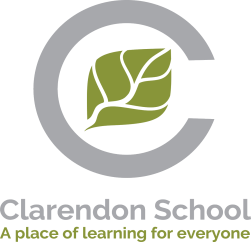 TVF awards a grant of £13,000 towards a playground structure for Clarendon Primary Center in Hampton